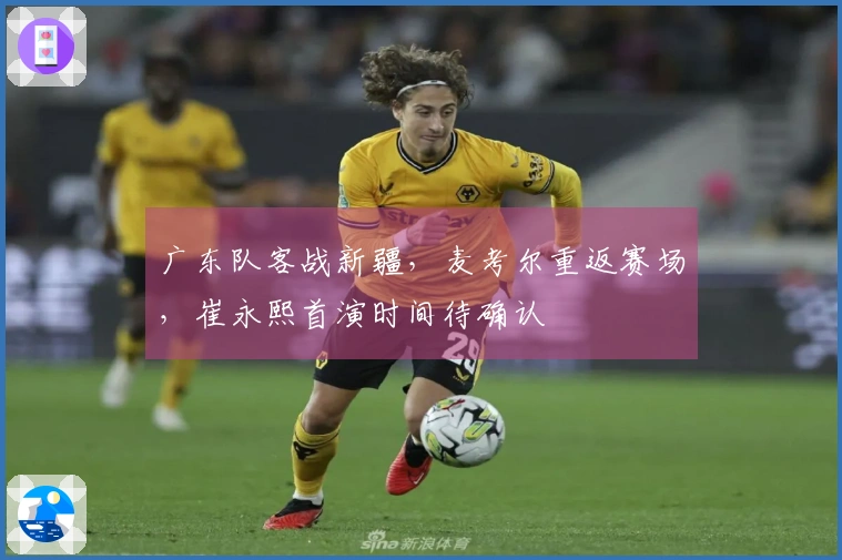 广东队客战新疆，麦考尔重返赛场，崔永熙首演时间待确认